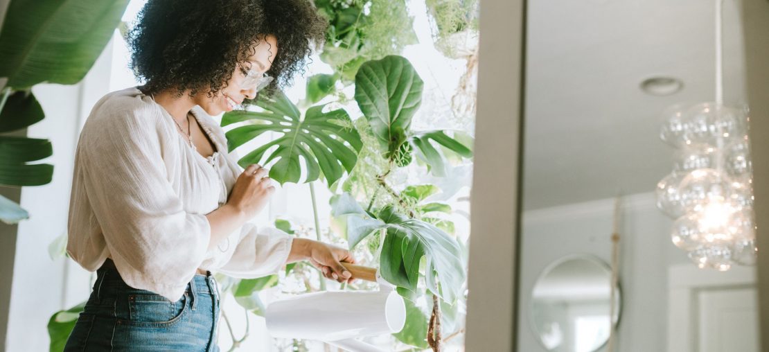 plantas em casa